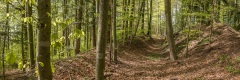 20160420_019