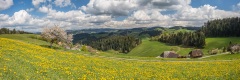 20170418_003