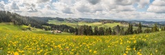 20170418_031