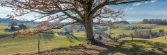 20180314_059