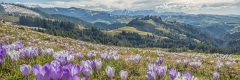20180412_095