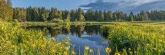 20180529_046