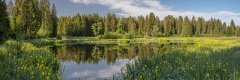 20180530_085