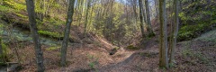 20200411_056