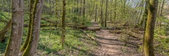 20200411_065