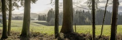 20230414_031