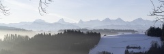 20240308_017
