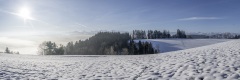 20240308_040