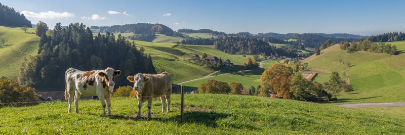 Niederbach, Schwanden