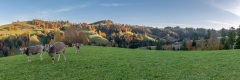 20091029_003