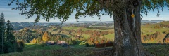 20091029_073