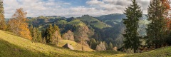 20101106_074