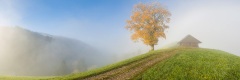 20151010_038