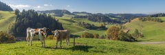Niederbach, Schwanden