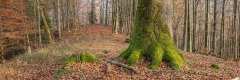20181122_014