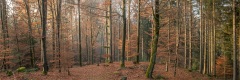 20181122_052