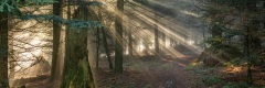20181125_084