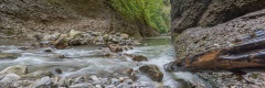 20120819_039