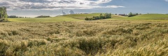 20200618_052
