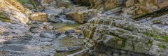 20200731_069