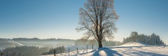 20090111_048