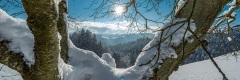 20141231_087