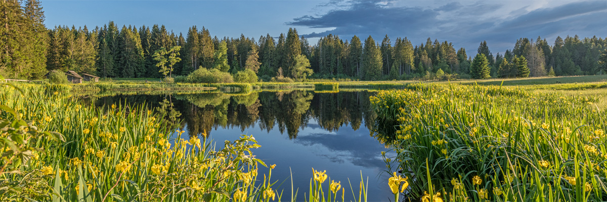 Fotoatelier Spring – Fotograf Oberburg – Burgdorf – Bern – Solothurn – Emmentalbilder