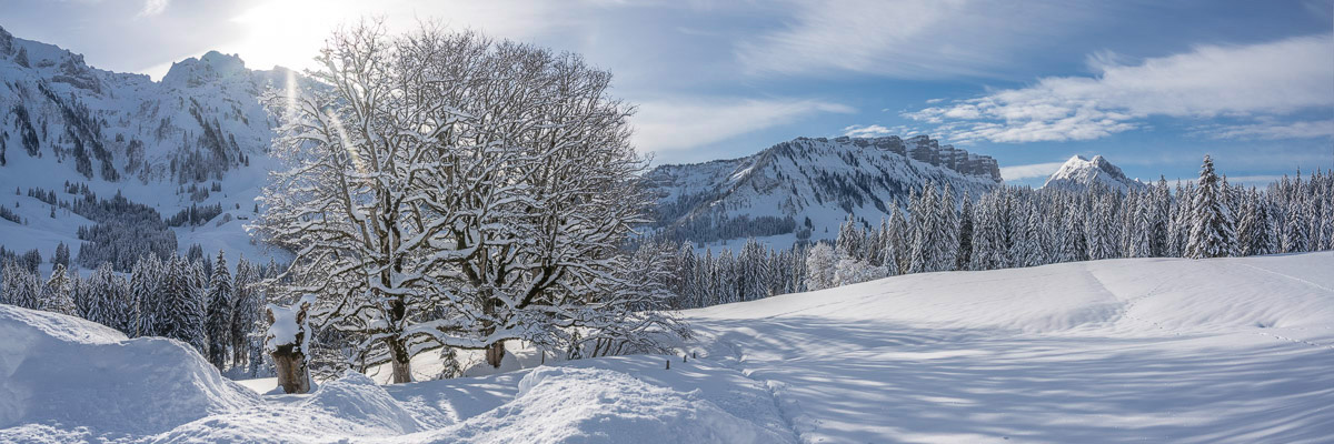 Fotoatelier Spring – Fotograf Oberburg – Burgdorf – Bern – Solothurn – Emmentalbilder