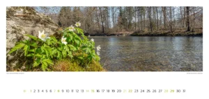 Emmentalkalender 2027 Wandkalender04